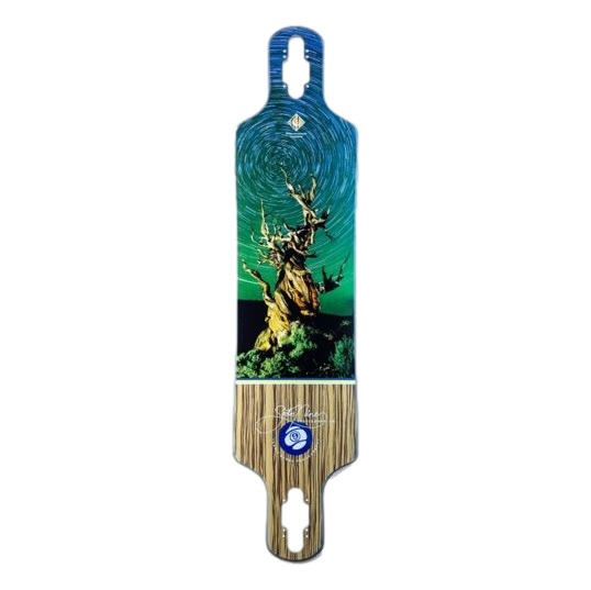 Sector 9 Basin Bintang Longboard Deck